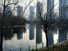 星海湖畔小区 2室2厅 南 北