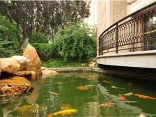 8号大平层 顶楼可以开阁楼 业主出国忍痛割爱 拎包入住