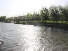 看海好楼层,静谧社区,改善就来买