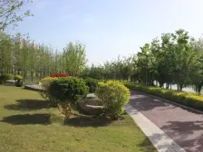 中建洋房壹号 5室4厅 南 北