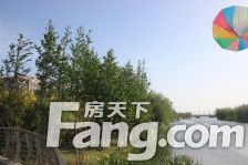 中建洋房壹号7室1厅南北