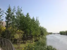 多层电梯洋房,一楼带院,精装修,楼上楼下一家