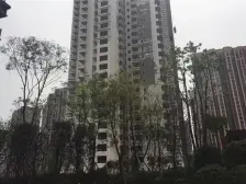 商圈楼上 次新楼盘 安心卖