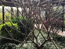 新福港鼎峰四代同堂大户型 四房三卫对流户型