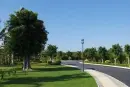 天赐南湾实景图