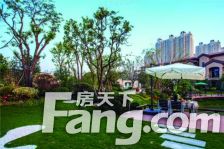 碧桂园凤凰城·凤仪苑 2室1厅 南