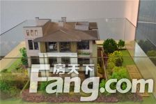 紫金湾D区 5室2厅 南