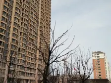 国际海水浴场南金猴圣海名居,电梯九楼,精装修带车位