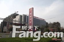 飞机户型 精装带地暖带汽车库 苏建阳光新城 采光全天