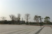 龙溪湖公园实景图