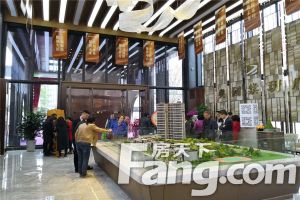 奥园棠玥府 2室2厅 南