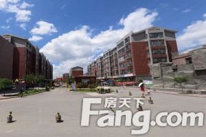 国标户型 南北通透 采光充足 房本在手