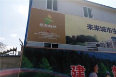 楚安新城