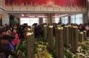 城泰枫华天成实景图