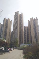 河畔新世界 3室1厅 东南 南