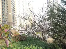 海信天山郡 2室1厅 南