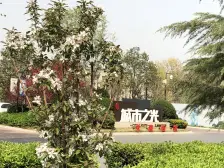 急出房 少见的复式电梯洋房 加上二楼面积将近200平