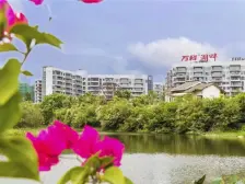 朝向好,阳光充裕;小高层,万科物业,高楼层视野好