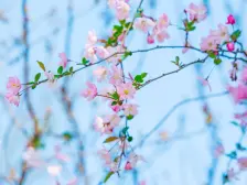 产权清晰,电梯房,刚需上车 必看好房