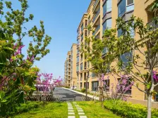 家具全送 采光好 产权清晰 必看好房