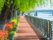 帕缇欧香苑(一期) 3室2厅2卫 南