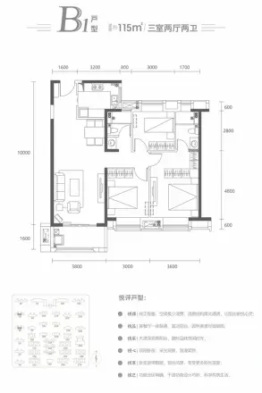光谷澎湃城奥山府