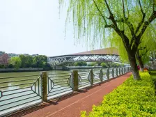 2期欣赏联排别墅,北进门南花园