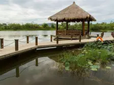 万科湖畔 大型社区 万科物业小区三个泳池