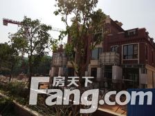 诚心出售 采光好 楼层好 设施设备齐全 看房方便