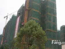 新世纪颐龙湾 5室2厅 东南