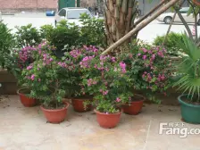 新世纪颐龙湾复试三房,装修保养好,诚意出售