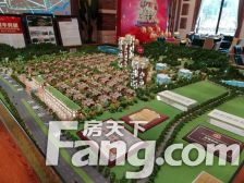 金地前海山 6室3厅 西南 东北