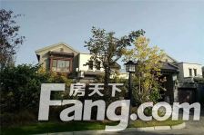 1.5亩院子独栋别墅 上下两层 独立车库