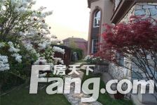 4A级高尔夫别墅景区,美式风格,联排别墅,私人庭院。