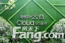 碧桂园云峯中心 2室1厅 南