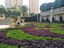 实地蔷薇国际8期 4室1厅 南