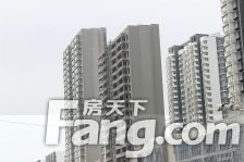 新东关3室2厅南北