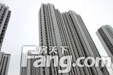 新东关3室2厅南