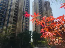 次新小区 嘉定新城·3室·2厅