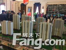 红星威尼斯两室明厅精装随时可看