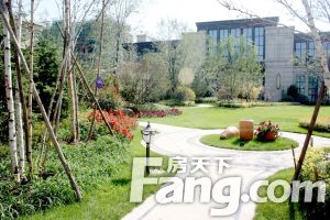 绿地城二期3室2厅南北