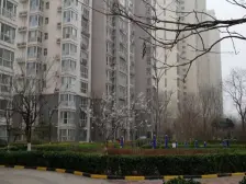 领秀城C区精装一室 户型方正好用 采光视野开阔