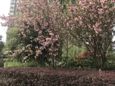 新上!夷陵万达旁山水国际精装三室两卫