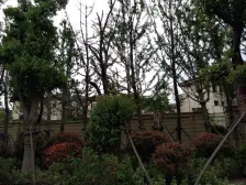 南朝向 大面宽 大花园 小区中间位置 诚意 有钥匙