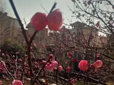 伴山蝶墅(伴山悦城) 南北通透,采光好 视野好,诚心出售