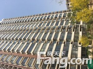 南北通透,采光全天无遮挡 飞机户型 采光充足