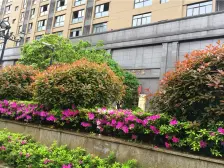 南山公园旁小户型电梯房,直接拎包入住。