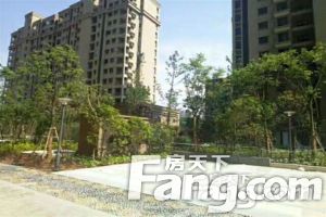 滨瓯景园 精装修 楼层好 视野好