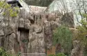 佳晟中南玖著实景图