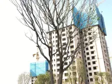 西江悦 望江好楼层 精装三房 拎包入住